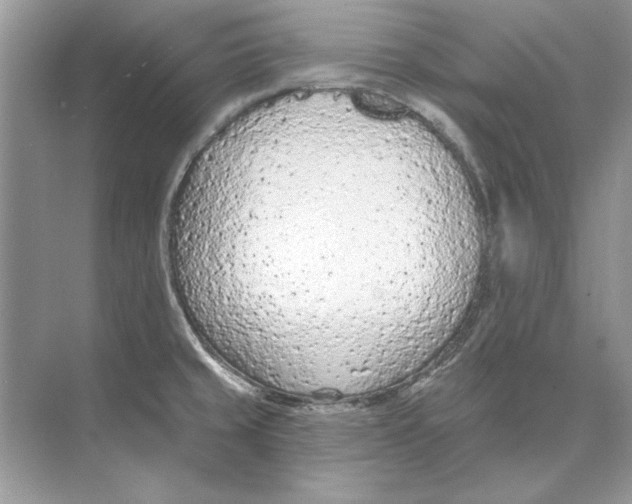 X0000074301429200609222323