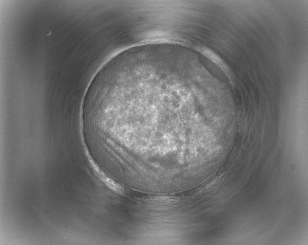 X0000074301431200609222323