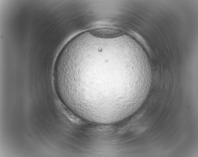 X0000074301435200609222323