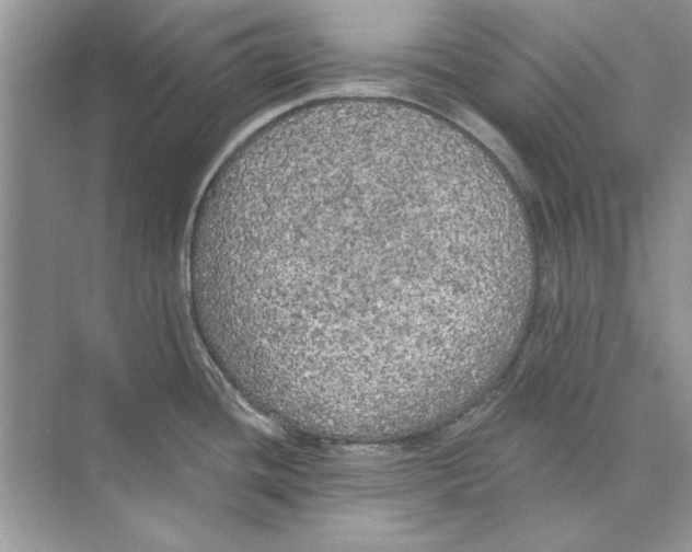 X0000074301436200609222323