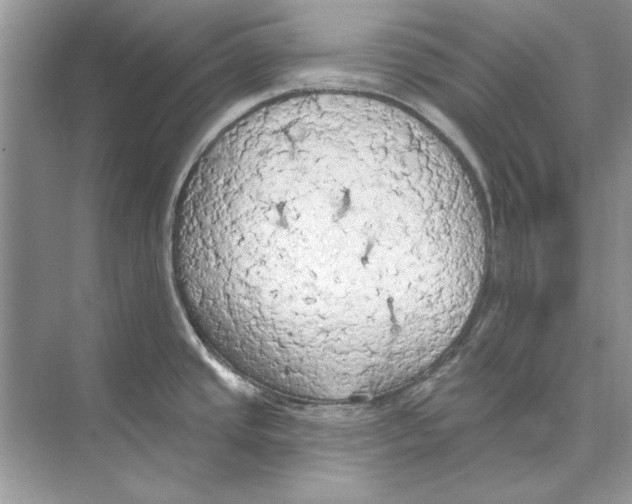 X0000074301437200609222323