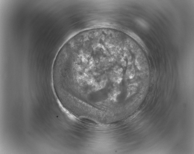 X0000074301439200609222323