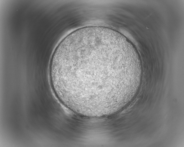 X0000074301440200609222323