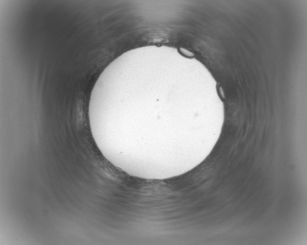 X0000074301442200609222323