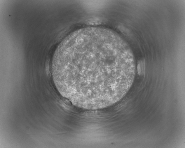 X0000074301444200609222323