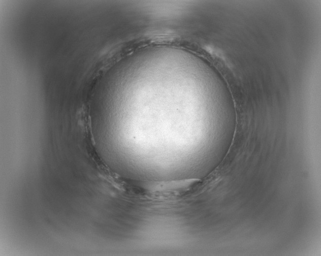 X0000074301445200609222322