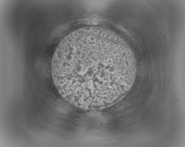 X0000074301446200609222322