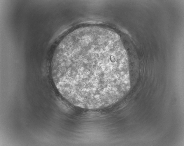 X0000074301448200609222322