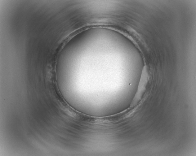 X0000074301449200609222322