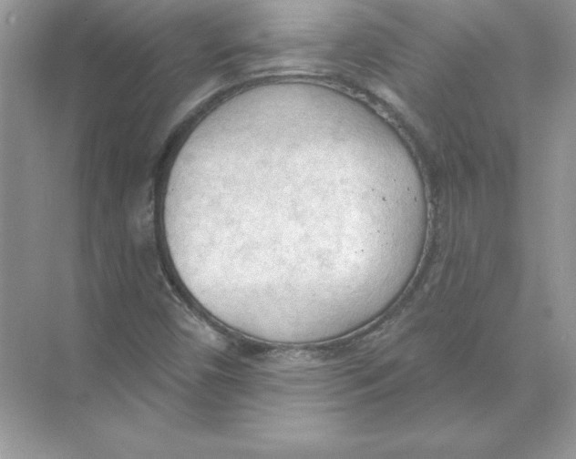 X0000074301450200609222322