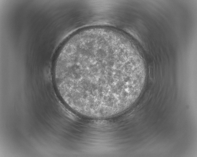 X0000074301452200609222322