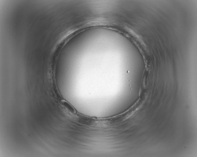 X0000074301453200609222322