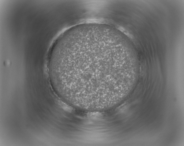 X0000074301454200609222322