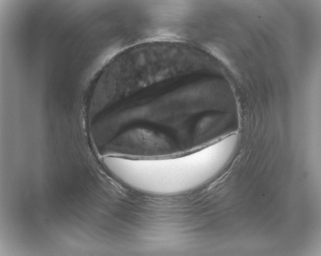 X0000074301455200609222322