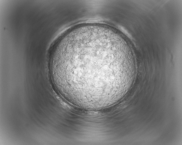 X0000074301456200609222322