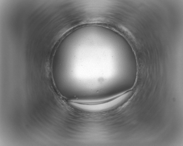 X0000074301457200609222322