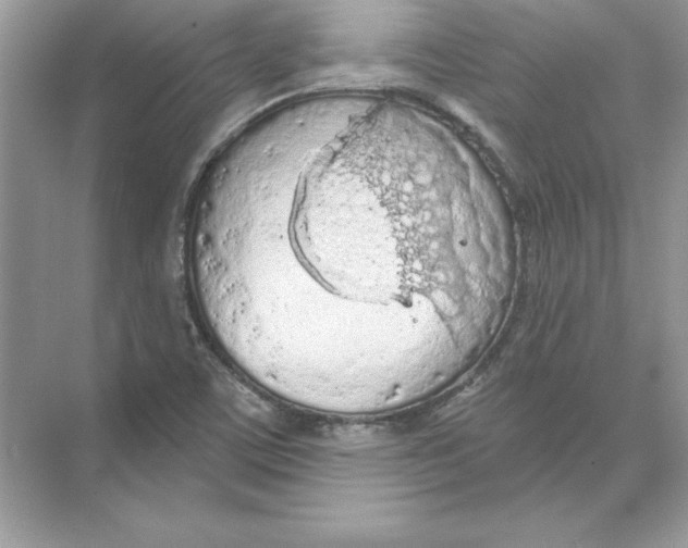 X0000074301459200609222322