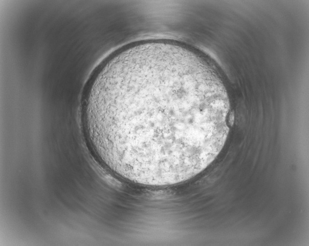 X0000074301460200609222322