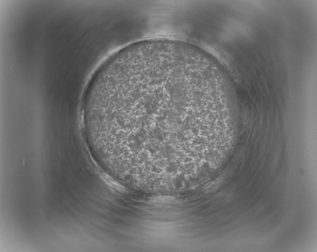 X0000074301462200609222322