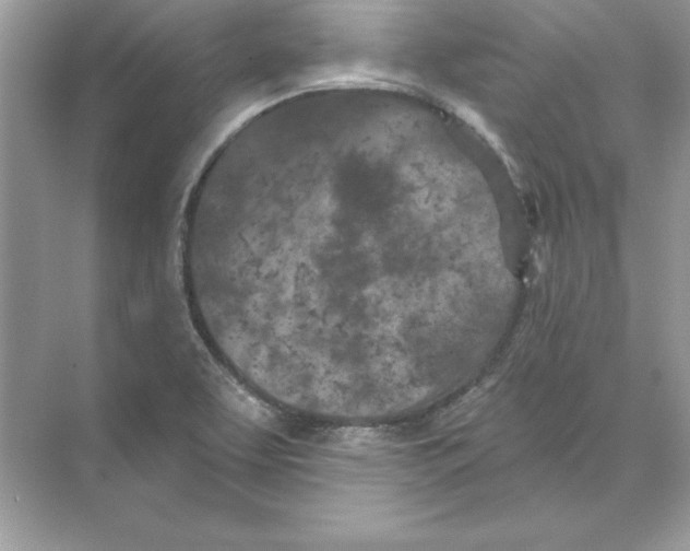 X0000074301463200609222322