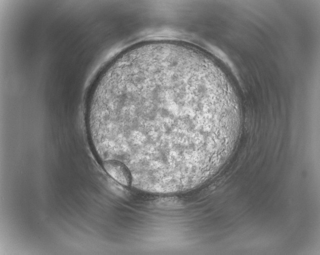 X0000074301464200609222322