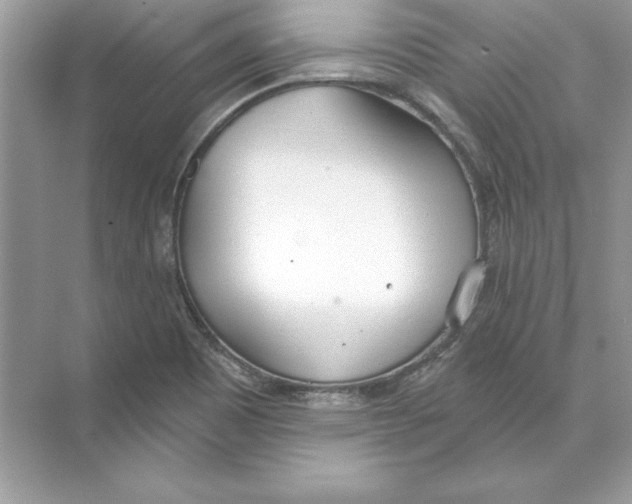 X0000074301465200609222322