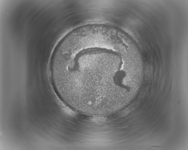 X0000074301466200609222322