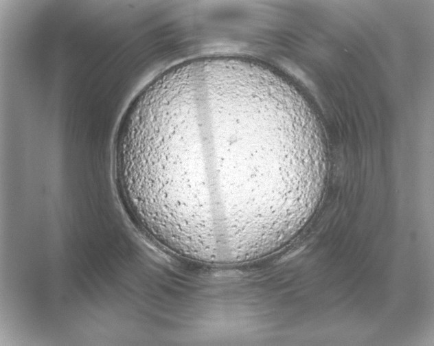 X0000074301467200609222322