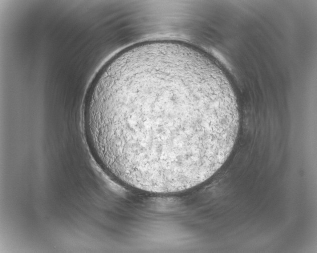 X0000074301468200609222322