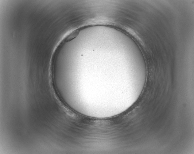 X0000074301469200609222322