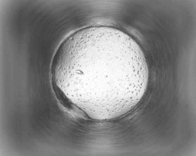 X0000074301471200609222322