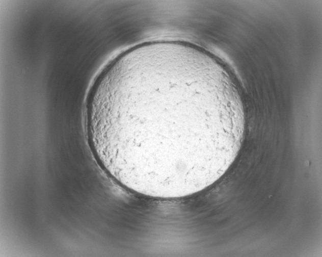 X0000074301472200609222322