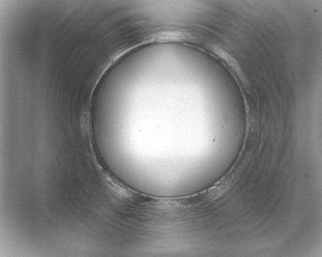 X0000074301473200609222322