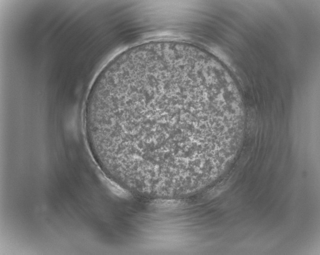 X0000074301474200609222322