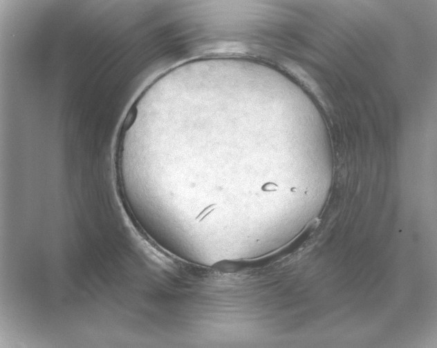 X0000074301475200609222322