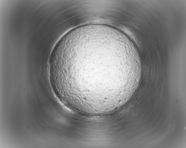 X0000074301476200609222322