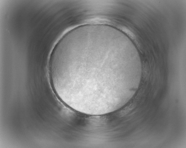 X0000074301478200609222322