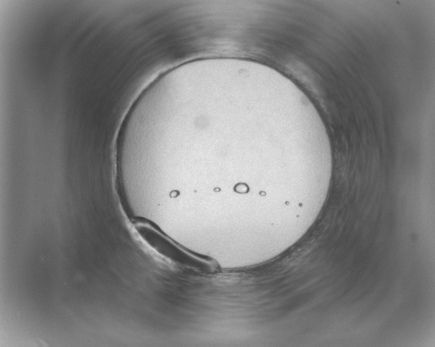 X0000074301479200609222322