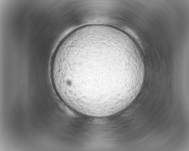 X0000074301480200609222322