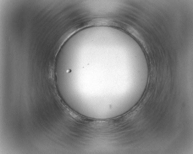 X0000074301481200609222322