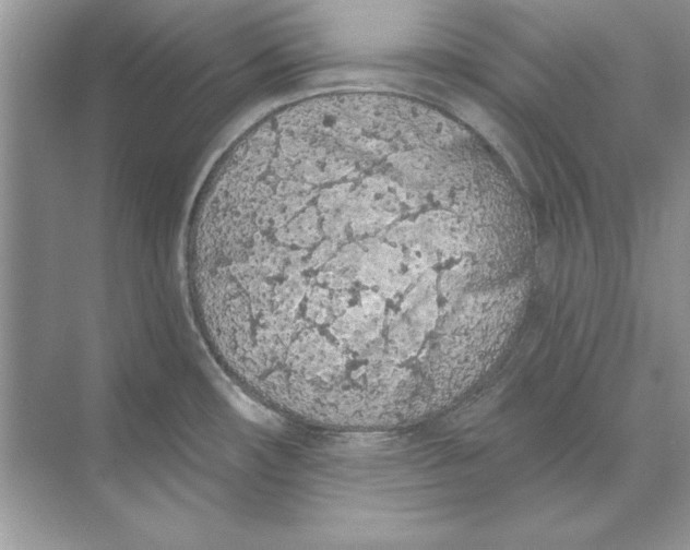 X0000074301482200609222322