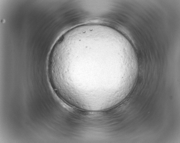 X0000074301483200609222322