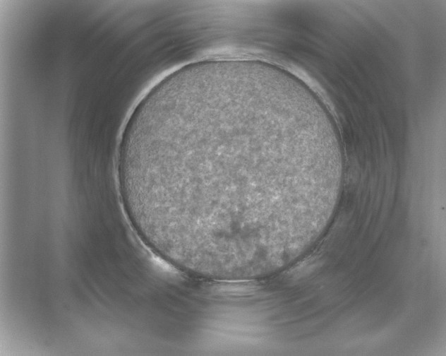 X0000074301486200609222322