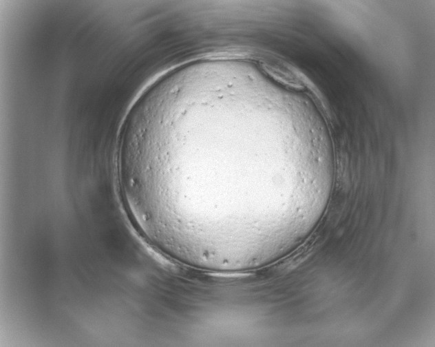 X0000074301487200609222322