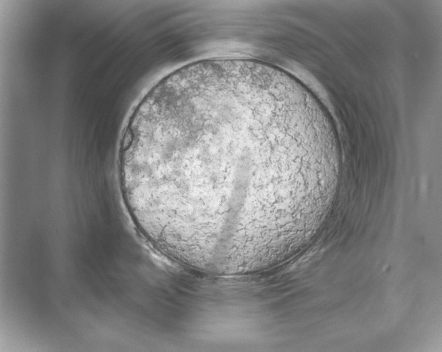 X0000074301488200609222322