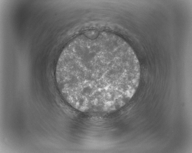 X0000074301489200609222321