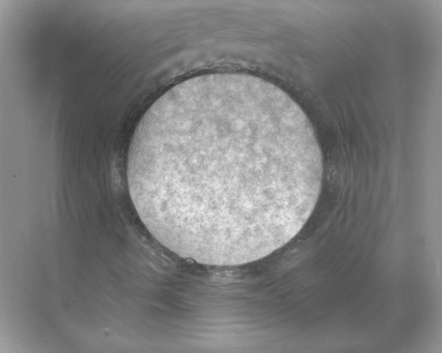 X0000074301490200609222321