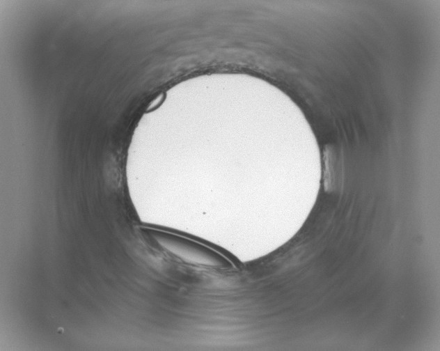 X0000074301491200609222321