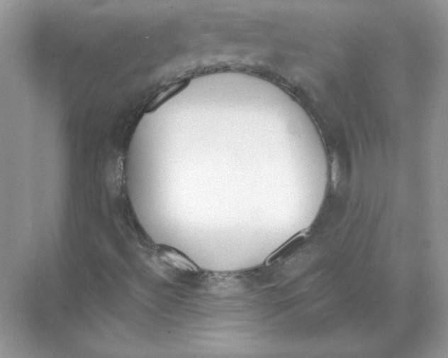 X0000074301492200609222321