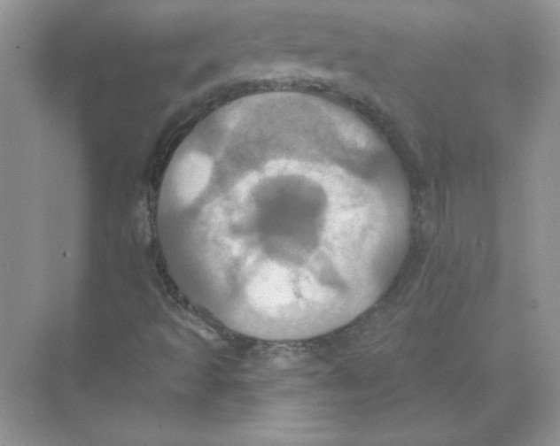 X0000074301493200609222321